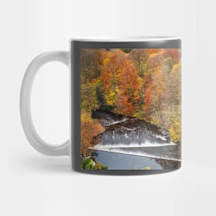 Autumn Weir Mug